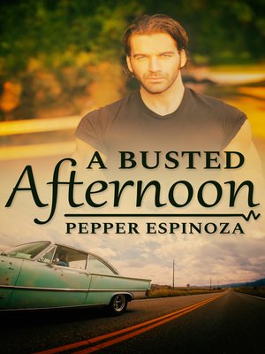 cover image of A Busted Afternoon